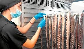 Bruselas registra el Pulpo Seco de Adra en el registro de calidad para productos agrícolas y alimenticios