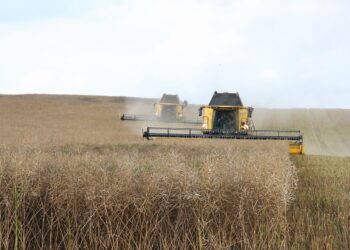 España registró la mayor caída en los precios de producción agrícola de la UE en el primer trimestre de 2025