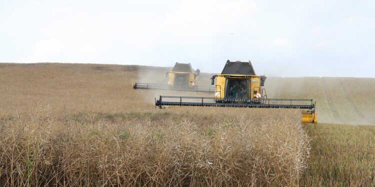 España registró la mayor caída en los precios de producción agrícola de la UE en el primer trimestre de 2025