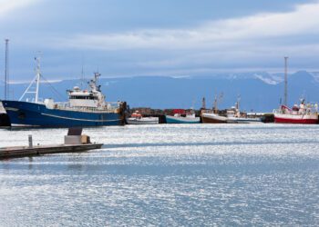 La UE acuerda sancionar a terceros países que permitan pesca no sostenible para proteger los recursos compartidos