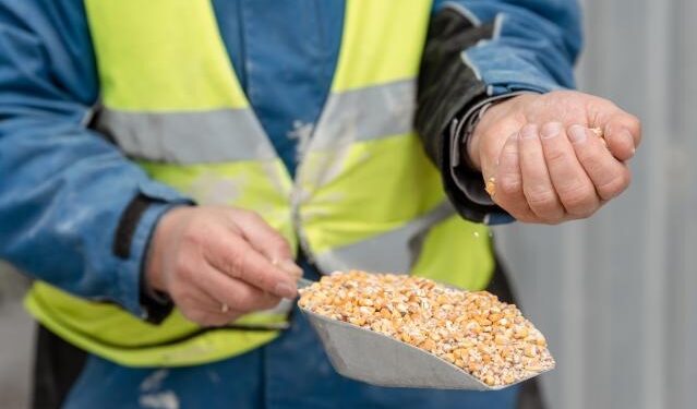 La UE y Moldavia llegan a un acuerdo sobre una relación comercial modernizada