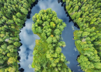 La Comisión Europea estima que mejorar la aplicación de la legislación medioambiental protege la salud humana y apoya el crecimiento económico