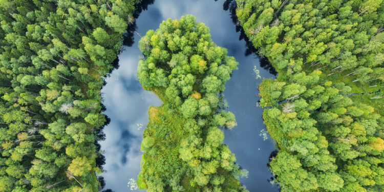 La Comisión Europea estima que mejorar la aplicación de la legislación medioambiental protege la salud humana y apoya el crecimiento económico