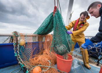 La UE e Islandia refuerzan su cooperación en materia de pesca sostenible y asuntos oceánicos