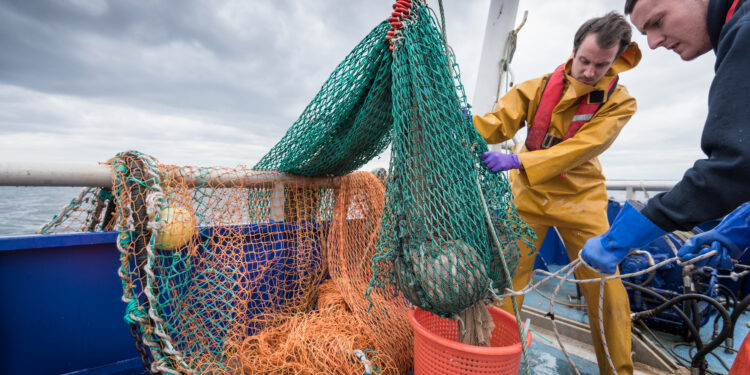 La UE e Islandia refuerzan su cooperación en materia de pesca sostenible y asuntos oceánicos