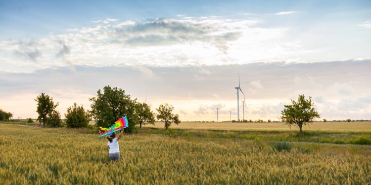 Los ingresos por impuestos ambientales muestran un ligero aumento en 2023