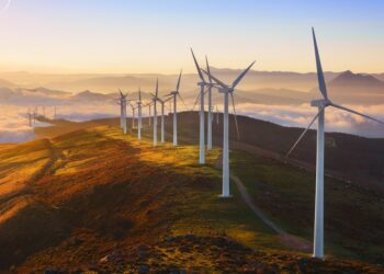 La Comisión solicita comentarios sobre la futura simplificación de la legislación medioambiental