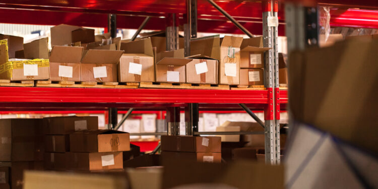 La Eurocámara aprueba medidas para gestionar el ingreso masivo de paquetes desde tiendas online fuera de la UE