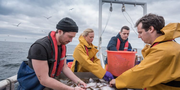 La Comisión Europea propone simplificar las estadísticas de pesca y acuicultura de la UE