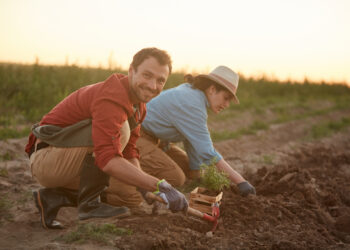 La Comisión permite un mayor anticipo de los pagos a los agricultores europeos en el marco de la política agrícola común de la UE