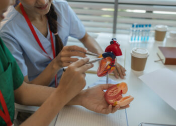 Enfermedades del sistema circulatorio y cáncer, principales causas de la mortalidad en la UE