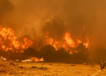 Von der Leyen a Sánchez: “Europa está con España en su lucha contra los incendios”