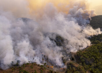 Análisis | Los incendios forestales arrasan en la UE más de un millón de hectáreas, un récord histórico