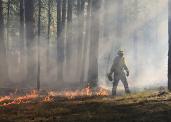 El Mecanismo de Protección Civil de la UE responde a múltiples incendios forestales en todo el continente