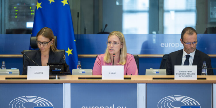 La Presidencia danesa informa a las comisiones del PE sus prioridades económicas, fiscales y de defensa