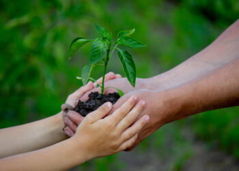 360 grados: nuevos retos para el plan verde europeo, el CBAM en plena madurez