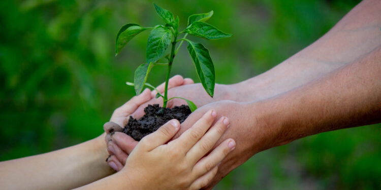 360 grados: nuevos retos para el plan verde europeo, el CBAM en plena madurez