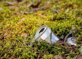 Los eurodiputados investigarán mejores prácticas contra los delitos ambientales en Eslovenia