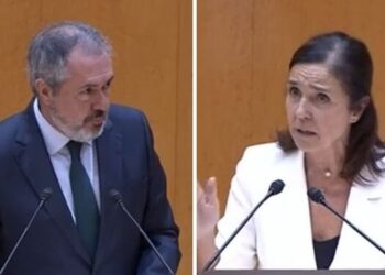 El PP tumba en el Senado una moción del PSOE para calificar de “genocidio” la situación de Gaza
