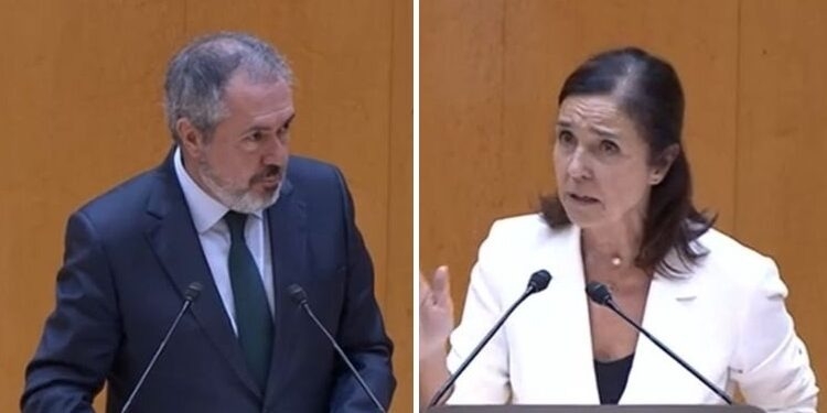 El PP tumba en el Senado una moción del PSOE para calificar de “genocidio” la situación de Gaza