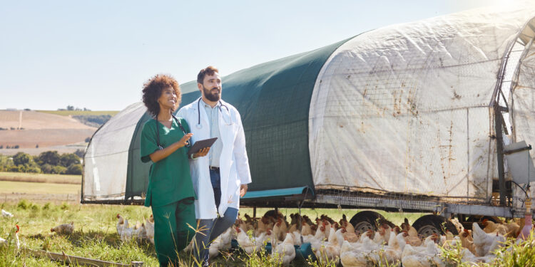 Las exportaciones agroalimentarias de la UE aumentaron en julio de 2025