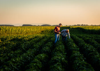 Los eurodiputados apoyan cambios para fortalecer la posición de los agricultores en la cadena de suministro alimentario