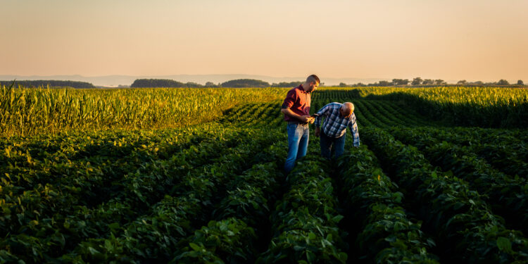 Los eurodiputados apoyan cambios para fortalecer la posición de los agricultores en la cadena de suministro alimentario