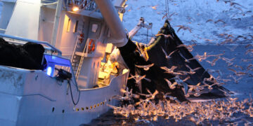 Las capturas de pescado en la UE alcanzaron un valor de 5.500 millones de euros en 2024