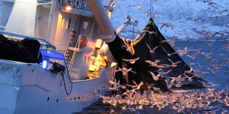 Las capturas de pescado en la UE alcanzaron un valor de 5.500 millones de euros en 2024