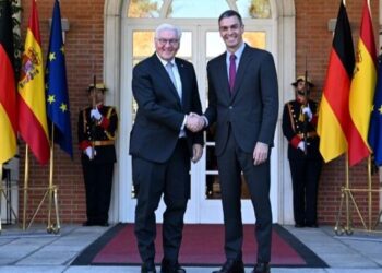 Sánchez aborda con Steinmeier la cooperación hispano-alemana en la industria de defensa