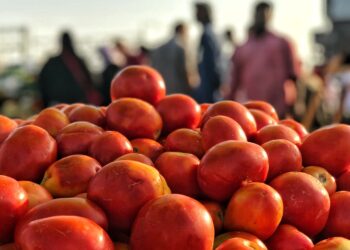 El Parlamento Europeo cuestiona la Comisión por su intento de modificar el etiquetado de productos del Sáhara Occidental