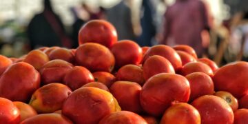 El Parlamento Europeo cuestiona la Comisión por su intento de modificar el etiquetado de productos del Sáhara Occidental