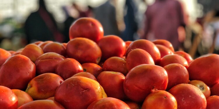 El Parlamento Europeo cuestiona la Comisión por su intento de modificar el etiquetado de productos del Sáhara Occidental