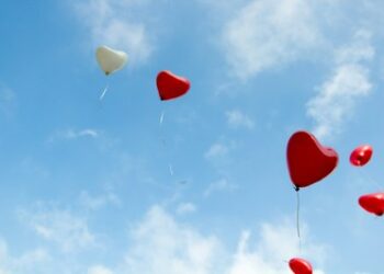 Una de cada cinco muertes cardiovasculares en la UE se puede prevenir mejorando el medio ambiente