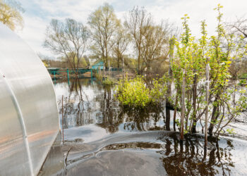 La Comisión impulsa iniciativas para fomentar la resiliencia hídrica en toda Europa