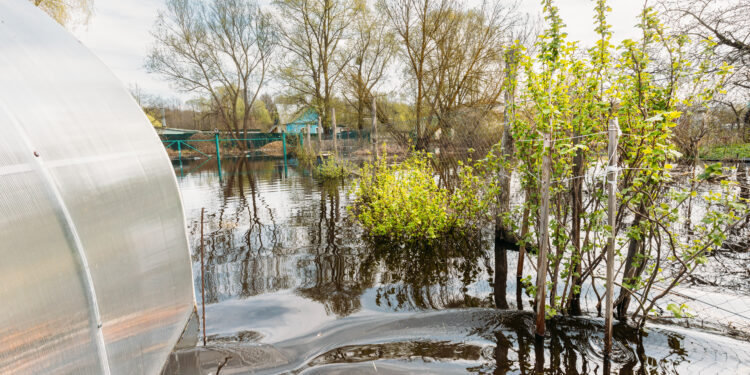 La Comisión impulsa iniciativas para fomentar la resiliencia hídrica en toda Europa