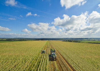 Acuerdo para simplificar las normas agrícolas de la UE