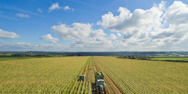 Acuerdo para simplificar las normas agrícolas de la UE