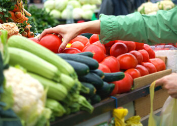 La UE produjo 258 millones de toneladas de cereales y 162 de leche cruda