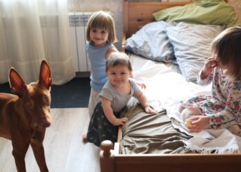 El 16,9 % de la población de la UE vivía en hogares superpoblados en 2024