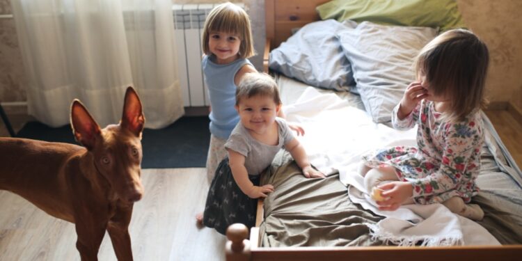 El 16,9 % de la población de la UE vivía en hogares superpoblados en 2024