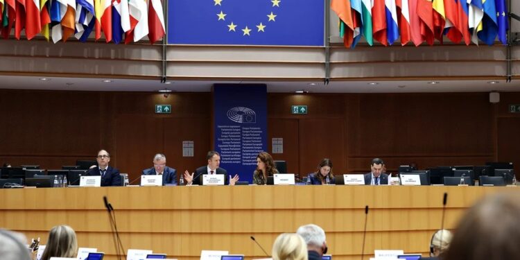 Líderes locales y eurodiputados instan a la UE a garantizar una política de cohesión robusta en el próximo presupuesto comunitario