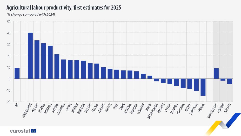 Productividad laboral agrícola, primeras estimaciones para 2025 (variación porcentual con respecto a 2024). Gráfico. Véase el enlace al conjunto de datos completo a continuación.