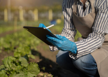 Bruselas refuerza la seguridad alimentaria con un 50% más de auditorías en países terceros y un 33% más de controles en las fronteras de la UE