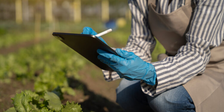 Bruselas refuerza la seguridad alimentaria con un 50% más de auditorías en países terceros y un 33% más de controles en las fronteras de la UE