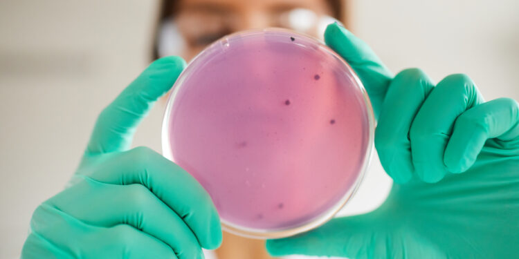 La Comisión y la OMS mejoran la respuesta a la resistencia a los antimicrobianos