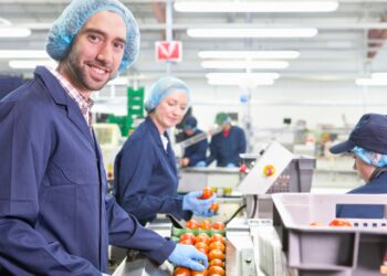El superávit comercial agroalimentario de la UE alcanza su nivel más alto en más de un año y las exportaciones marcan un récord en octubre