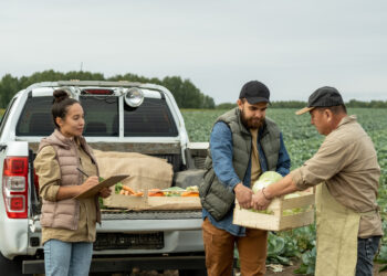 La Comisión evalúa las normas sobre prácticas comerciales desleales para fortalecer la posición de los agricultores en la cadena agroalimentaria