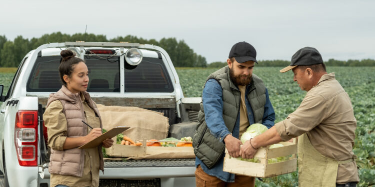 La Comisión evalúa las normas sobre prácticas comerciales desleales para fortalecer la posición de los agricultores en la cadena agroalimentaria