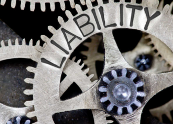 Los niveles más altos de garantías públicas se registraron en los Países Bajos, Finlandia e Italia